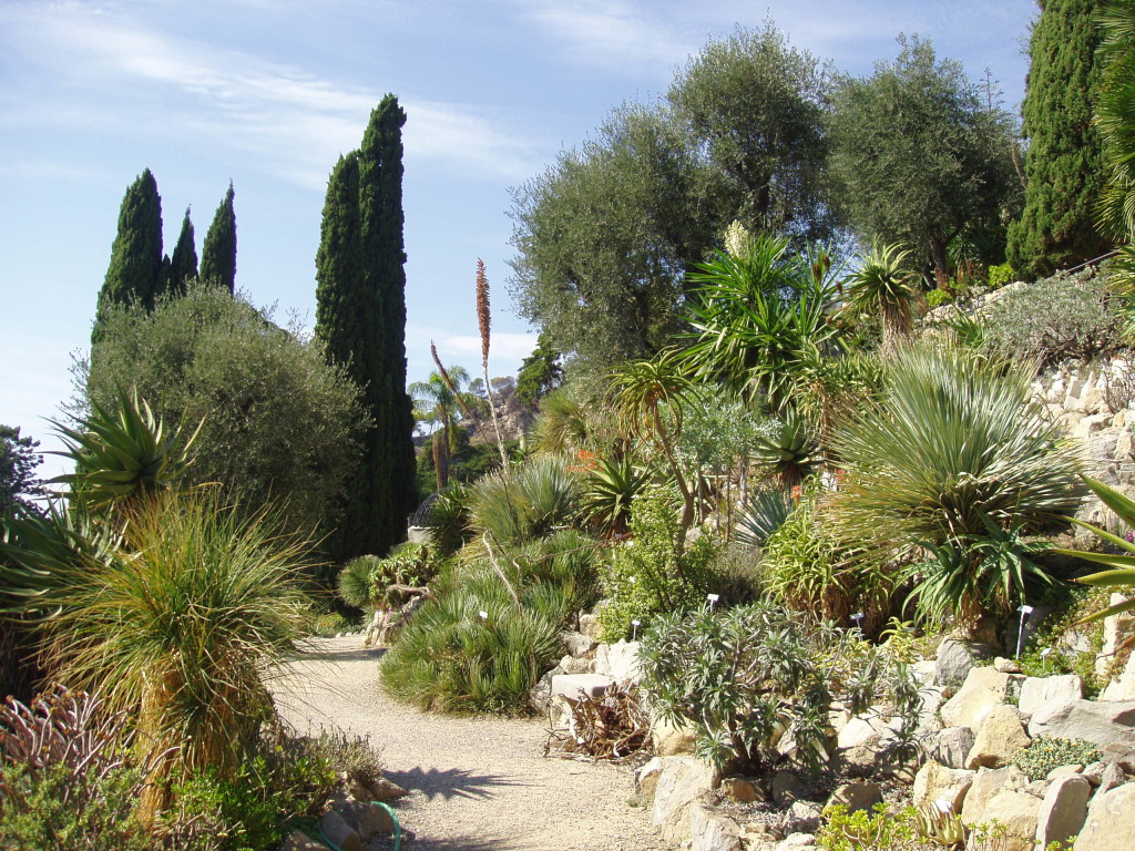 Giardini Hanbury. Fonte immagine wikimedia.org