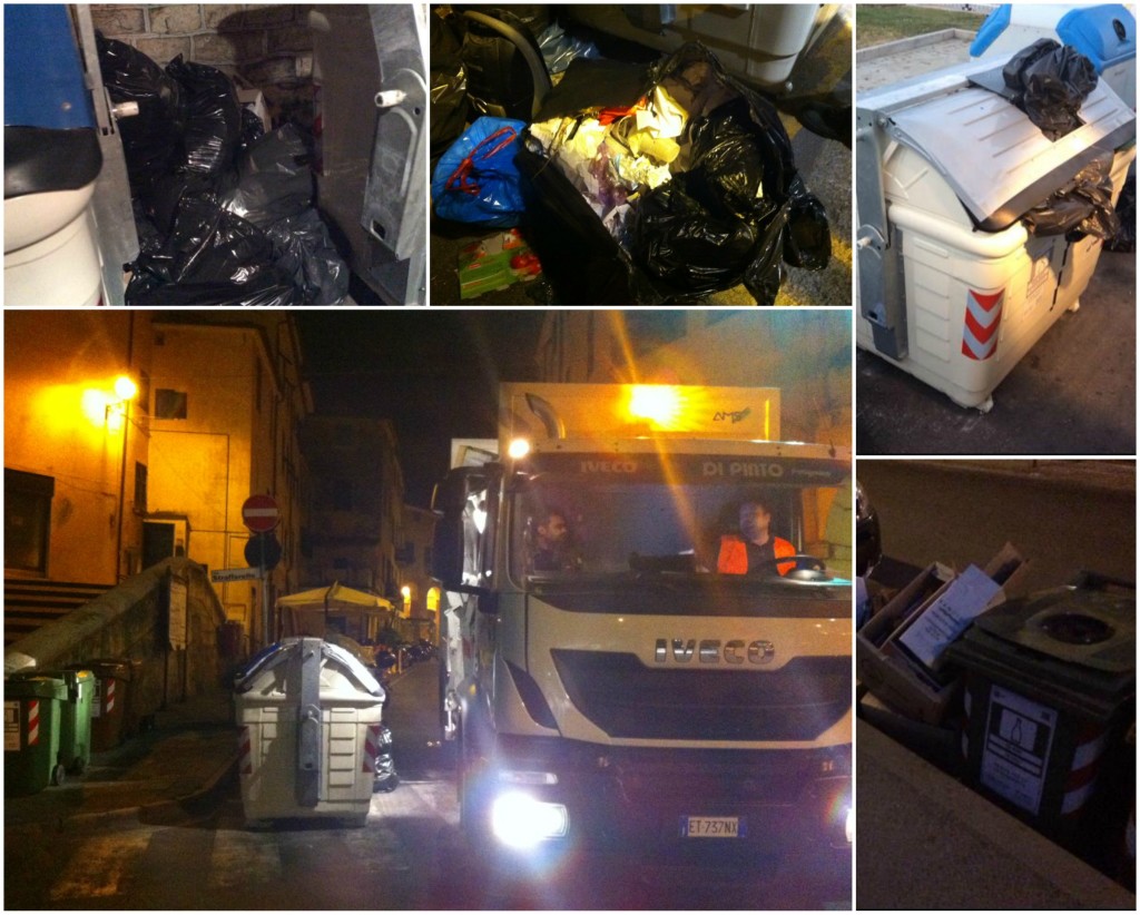 collage1.jpg