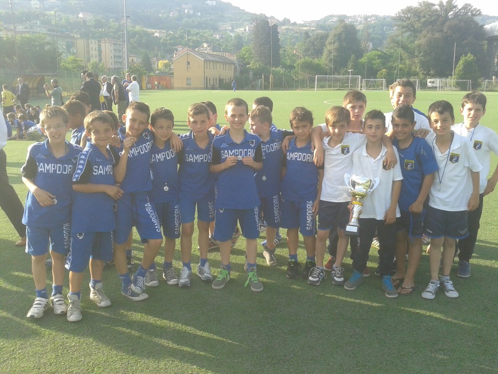 pulcini 2004
