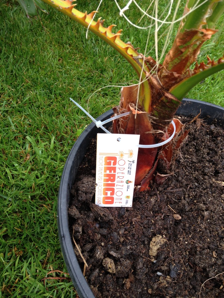 328_2014-08-19 10.49.41