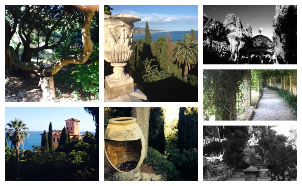 GIARDINI HANBURY COLLAGE