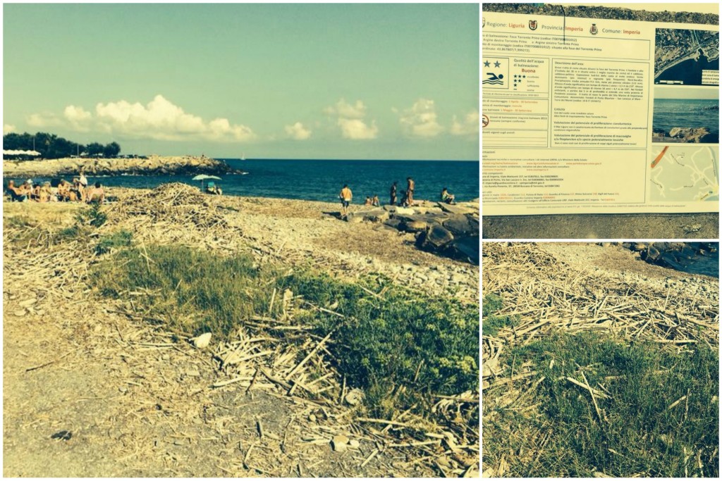 SPIAGGIA.jpg