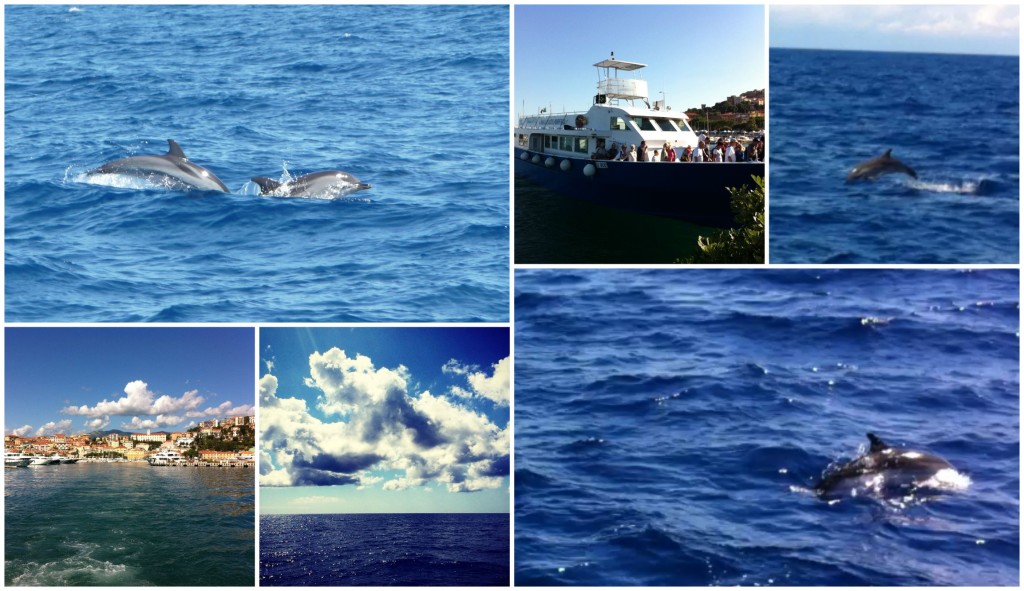 WHALEWATCH.jpg