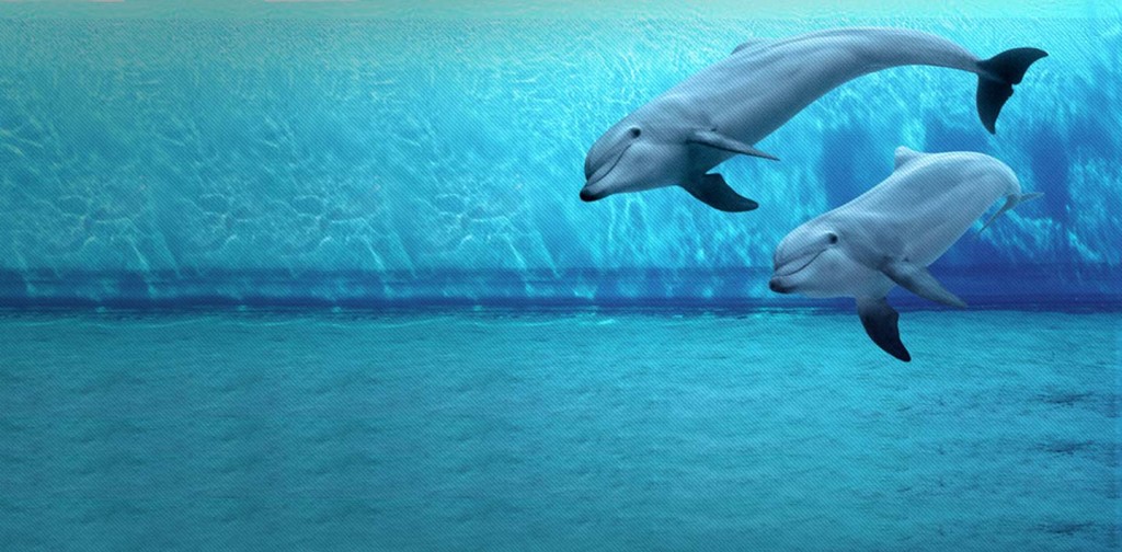 home_background_12