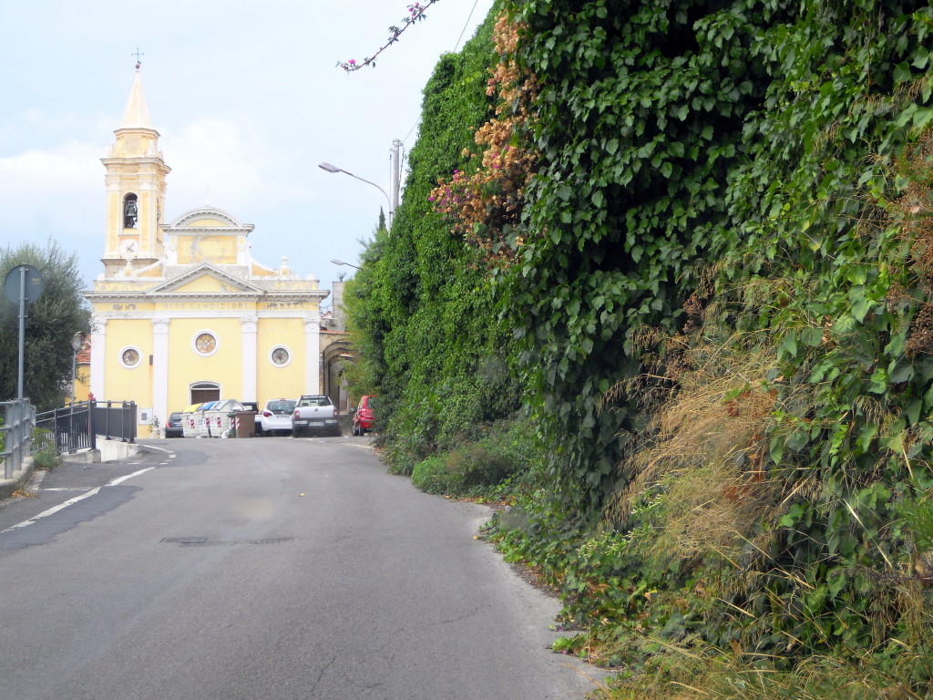 erbacce-pubbliche-SBM-027