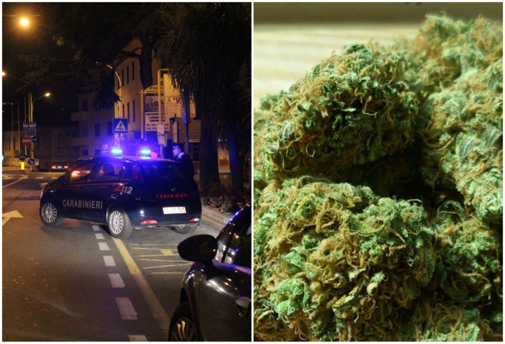 marijuana.jpg