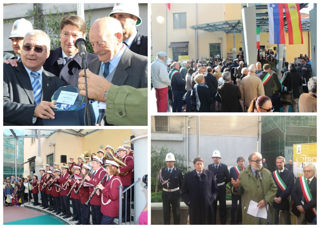 collage olioliva 2014