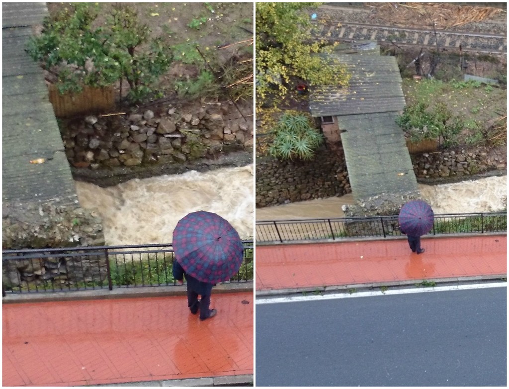 rio.jpg