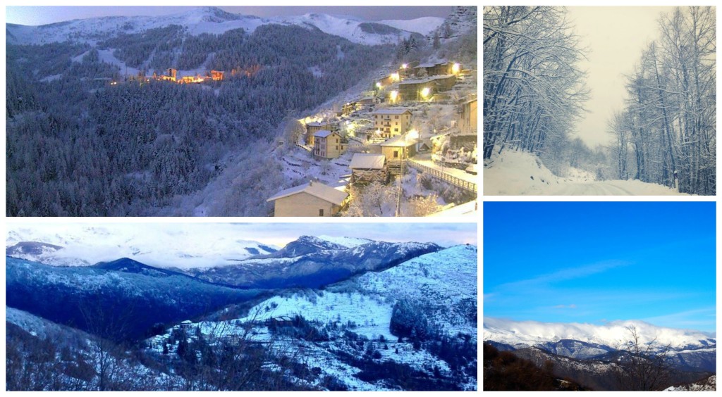 Collage neve