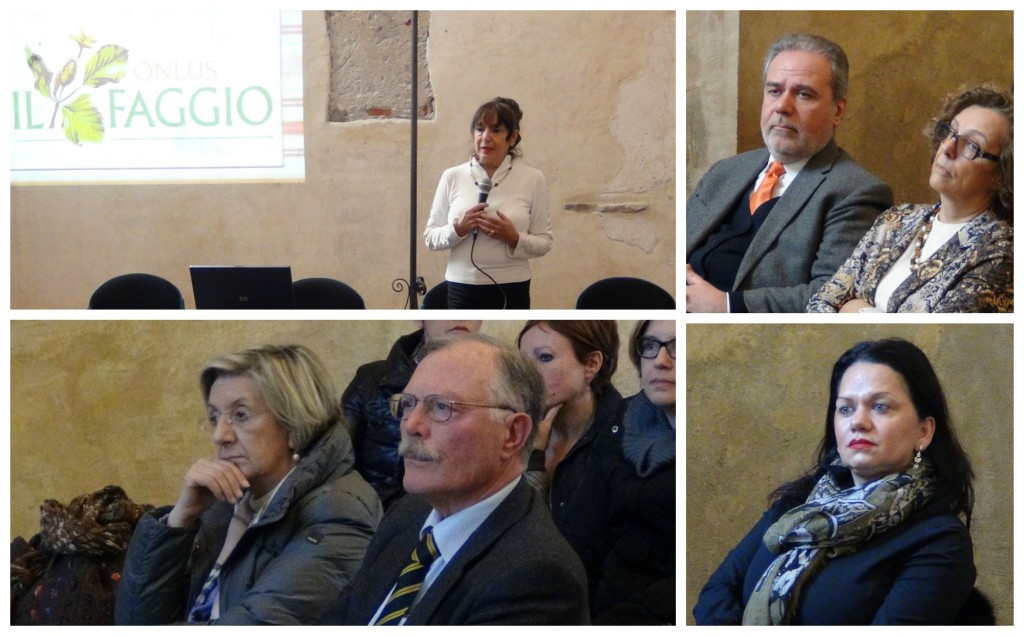 IL FAGGIO collage