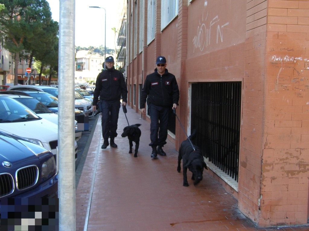 carabinieri nelle scuole_targa oscurata