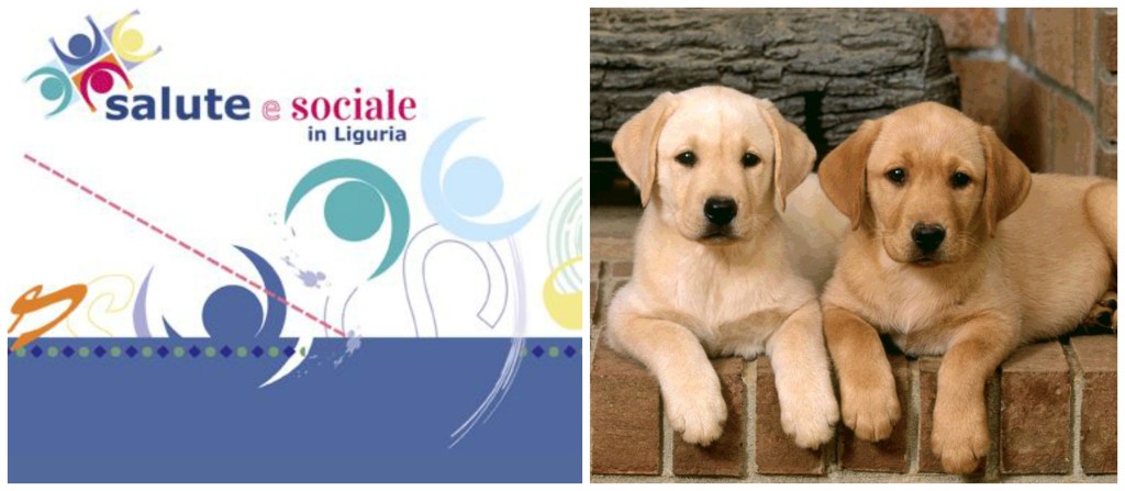 Collage cani e salute