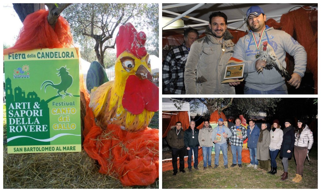 Collage canto del gallo