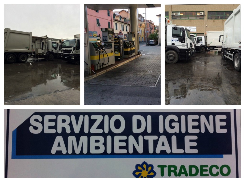 collage tradeco
