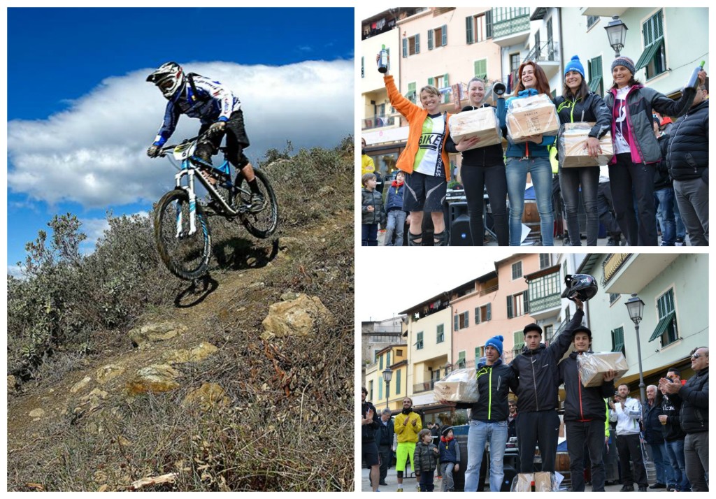 dolcenduro collage