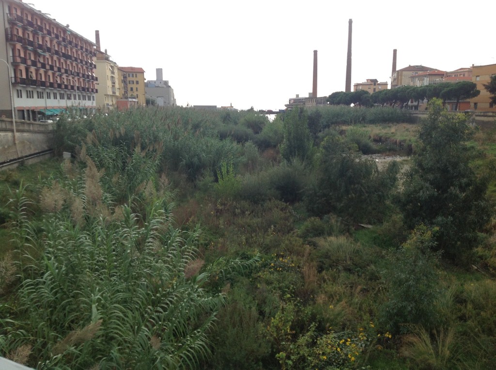 torrente impero