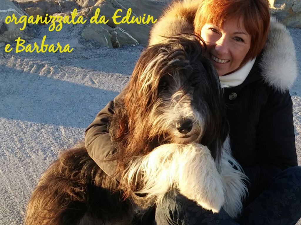 IMG-20141212-WA0006_2