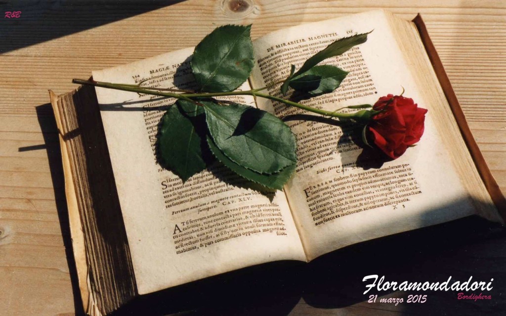 floramondadori40315