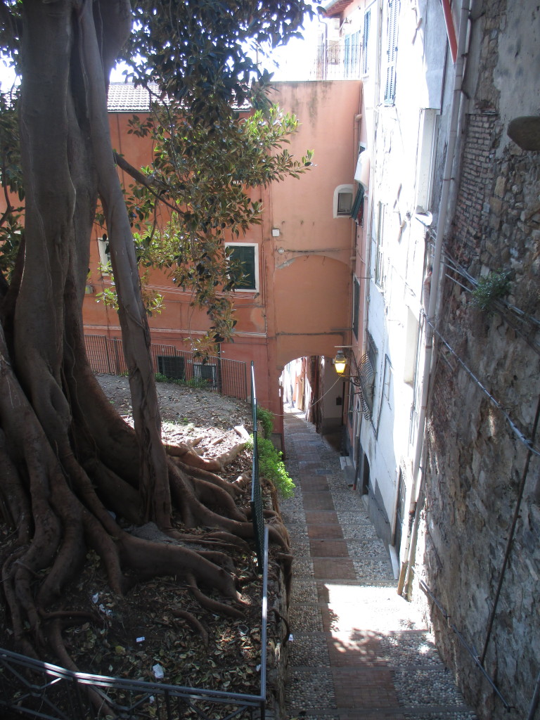Caruggio3