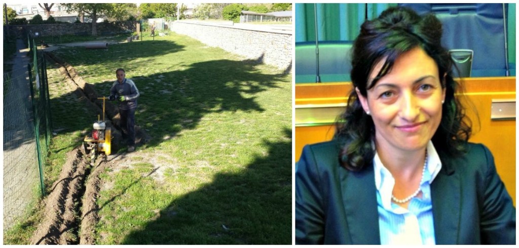 collage maria teresa parodi