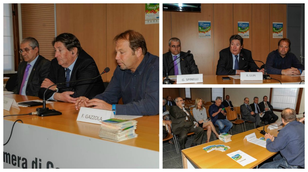 expo val nervia collage