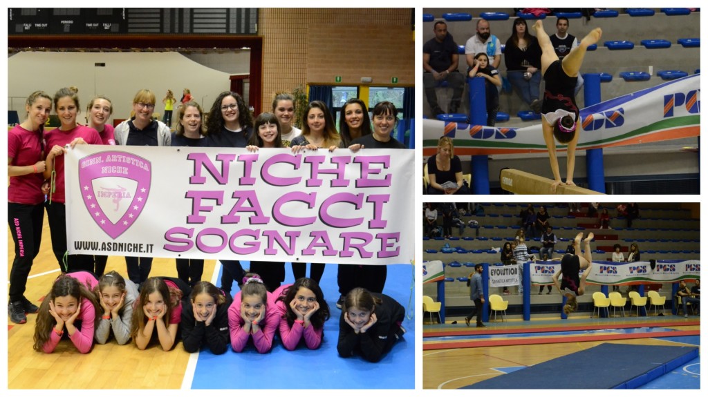 niche collage