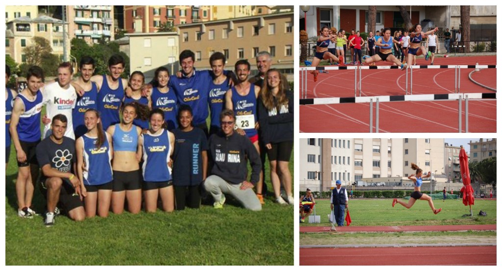 COLLAGE MAURINA OLIO carli