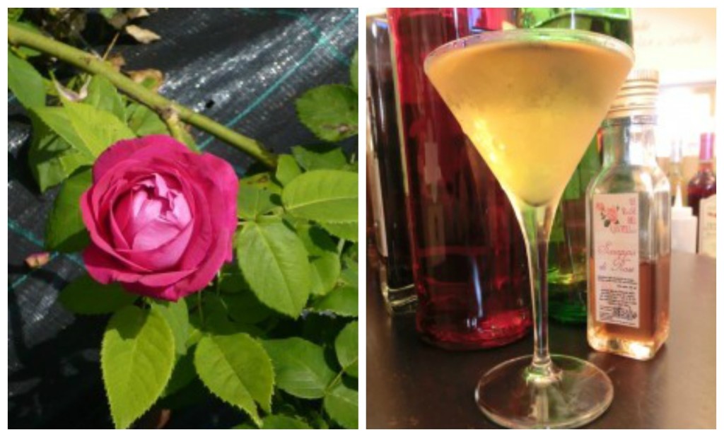 collage sciroppo di rose