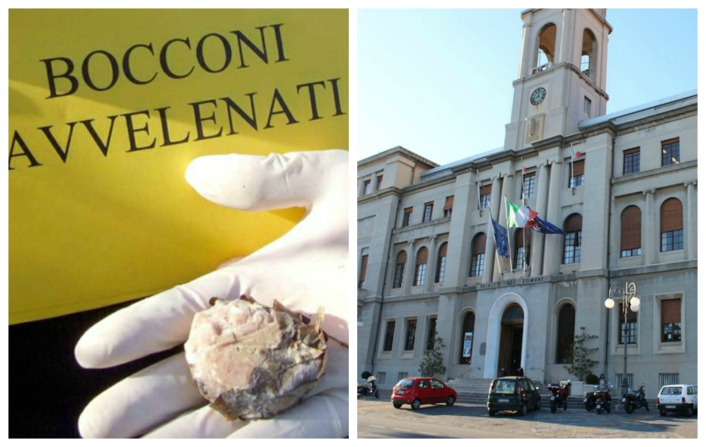 comune bocconi avvelenati