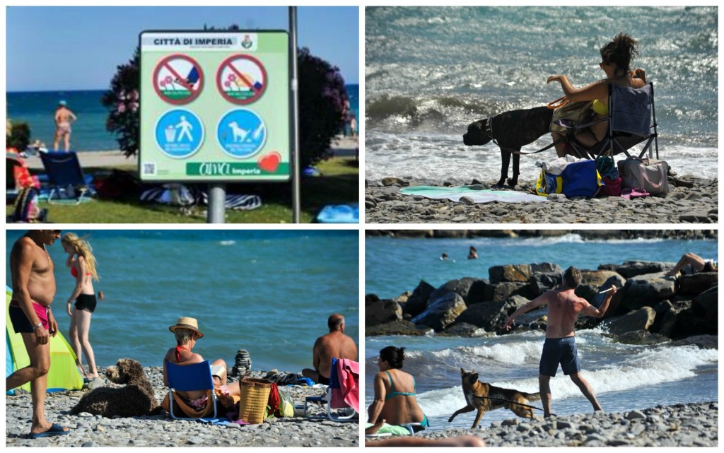 borgo prino spiaggia cani ag