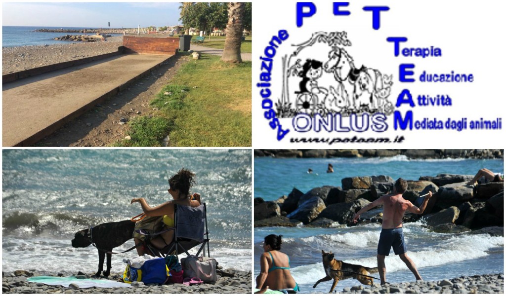 campo da bocce spiaggia per cani pet