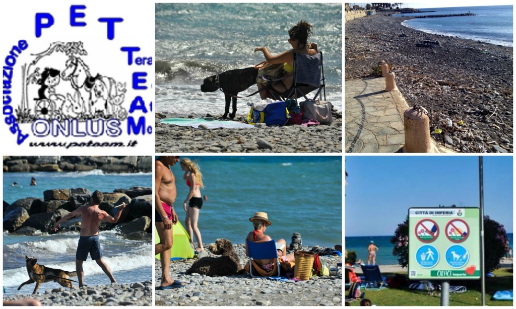 collage pet team onlus