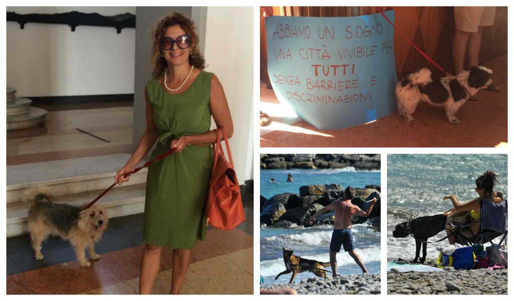 collage poillucci cani