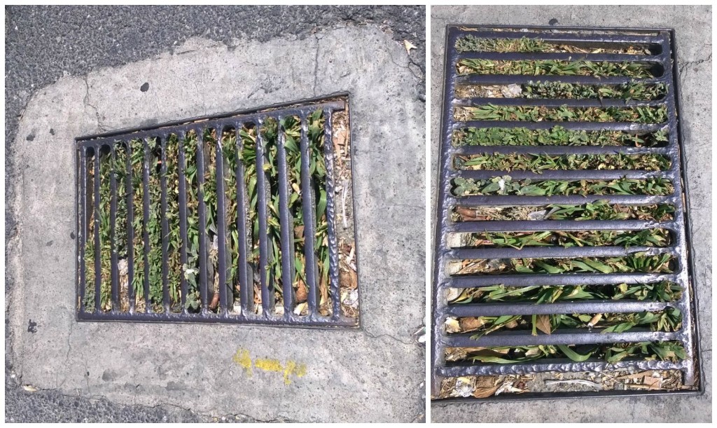 collage tombinitappati