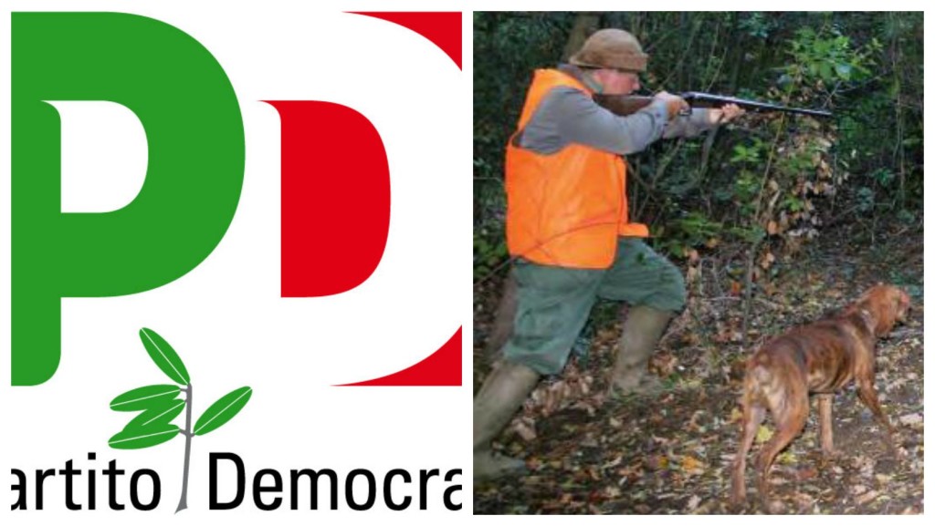 pd caccia
