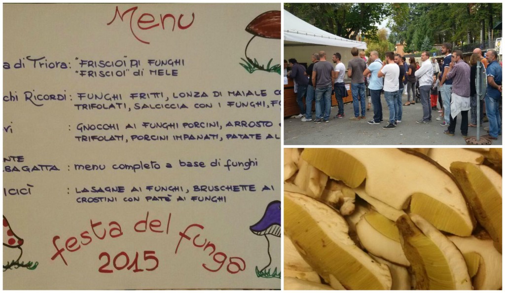fungo nel borgo collage suc