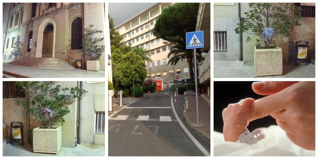 12510856_655703734568978_573060495_o