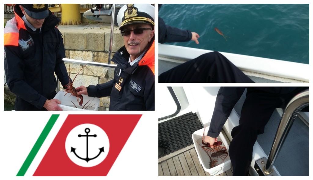 collage_aragoste_pescate