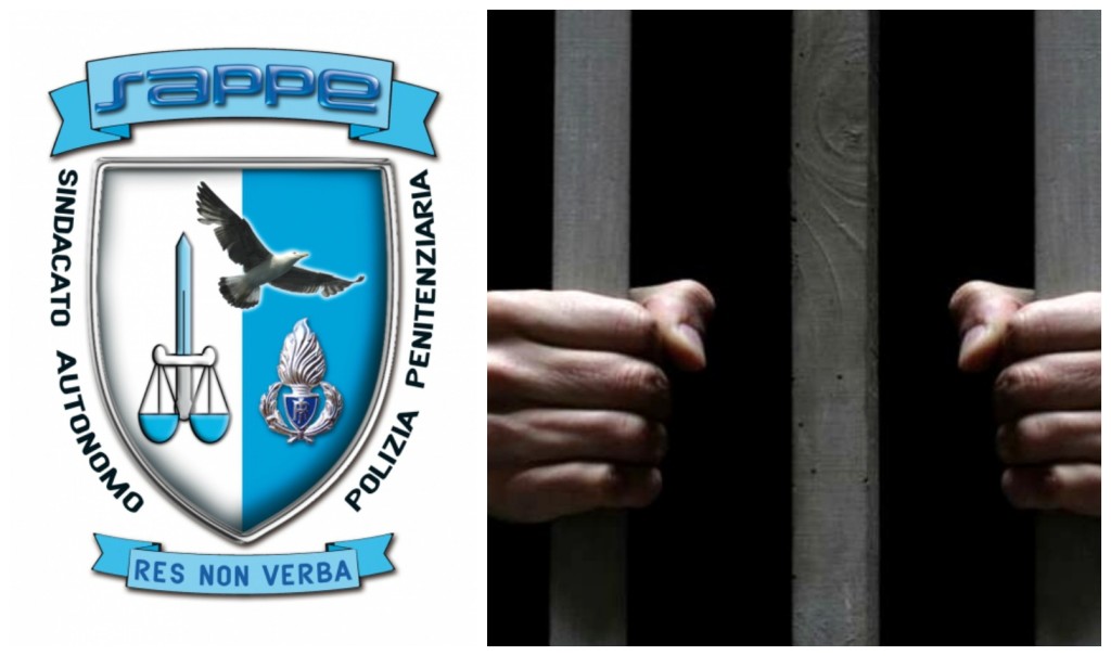sappe carcre_collage