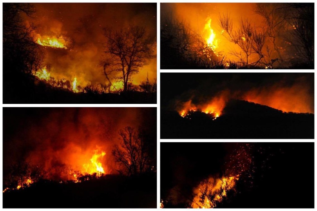 12674713_676874165785268_1322771148_o