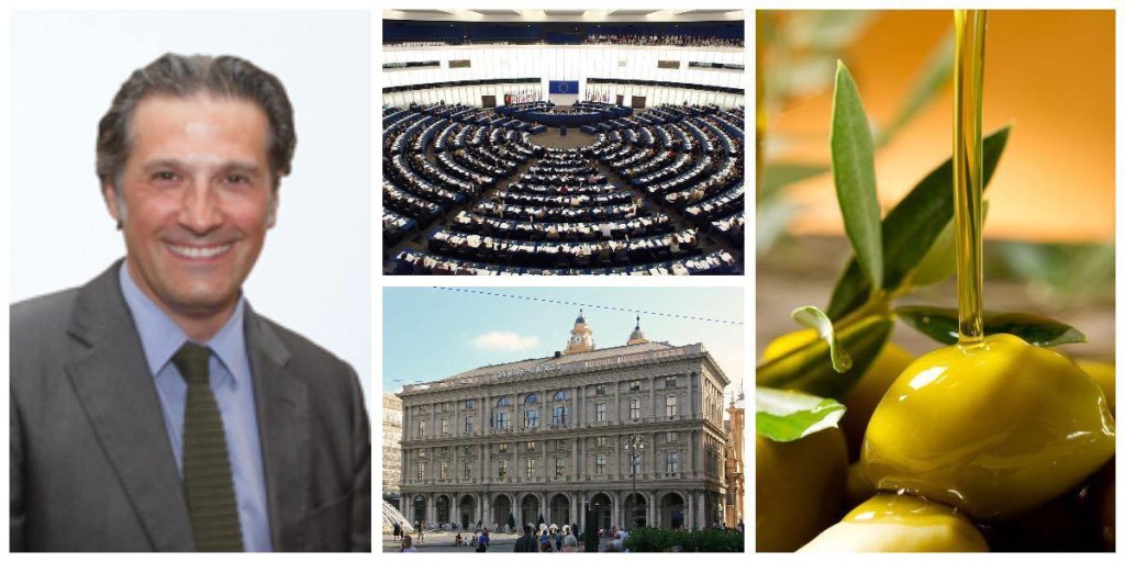 12810334_675103975962287_1222656928_o