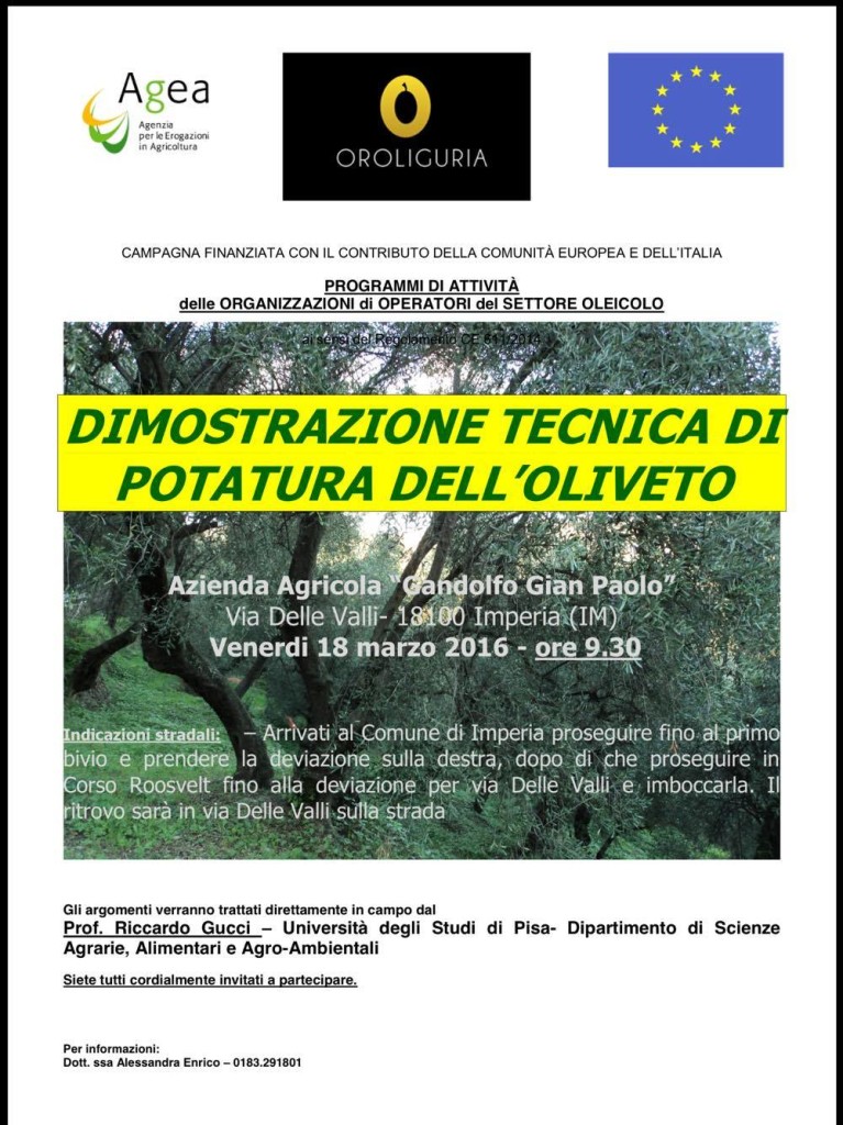 12837707_675099769296041_1011357104_o