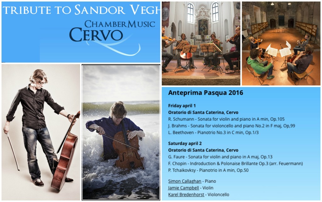 CervoChamberMusic