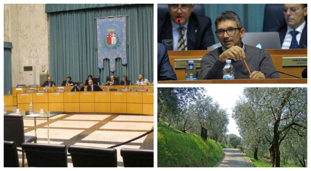 cc_savioli_collage_piano rurale