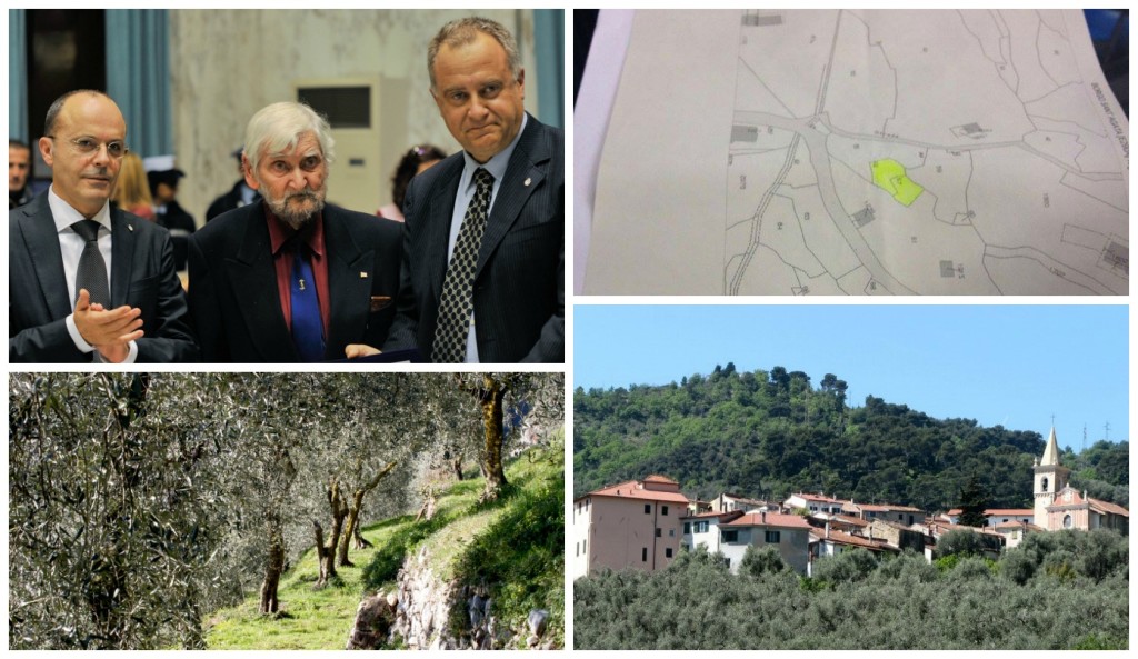 collage_calzia_mappale