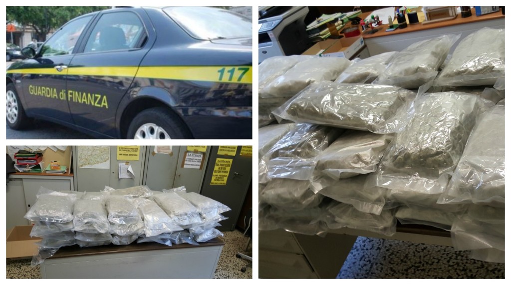 collage_gdf_marijuana