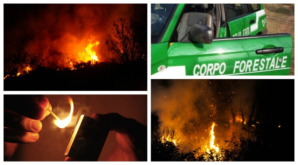 collage_incendio priromane