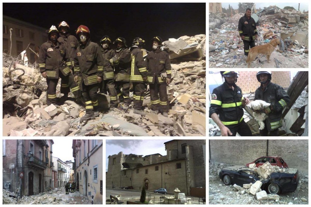 12952979_690947984377886_1956284706_o