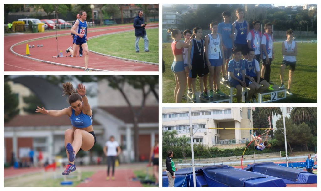 COLLAGE_MAURINA OLIO CARLI