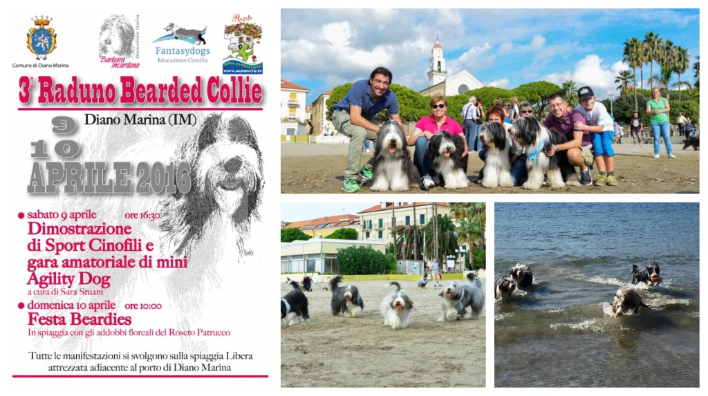 collage_raduno bearde